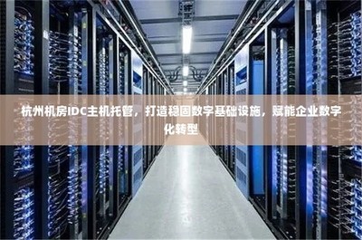 杭州IDC主機托管 穩固數字基礎設施，引領企業數字化轉型的堅實基石